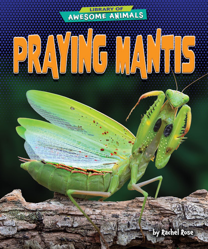 Praying Mantis - 9798892325028 by Rachel Rose, 9798892325028
