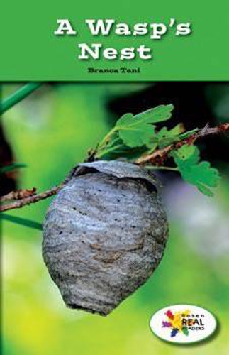 A Wasp's Nest by Branca Tani, 9781499491982