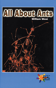 All About Ants (Journeys) by William West, 9781404257979