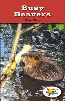 Busy Beavers by Nancy Hicer, 9781499491531