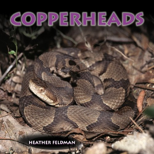 Copperheads - 9781404255746 by Heather Feldman