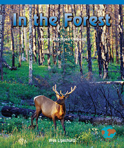 In the Forest (Learning Directional Concepts) - 9780823989164 by Janet Carson, 9780823989164