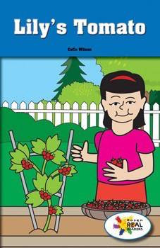 Lily's Tomato by CeCe Wilson, 9781499496208