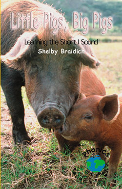Little Pigs, Big Pigs - 9780823982493 by Shelby Braidich, 9780823982493
