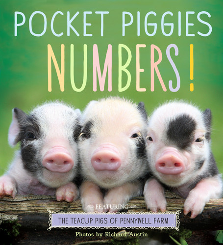 Pocket Piggies Numbers! (Featuring the Teacup Pigs of Pennywell Farm) by Richard Austin, 9780761179795