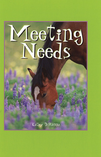 Meeting Needs by Kathy DiRanna, 9781404257955