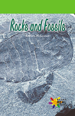 Rocks and Fossils by William McConnell, 9780823963706