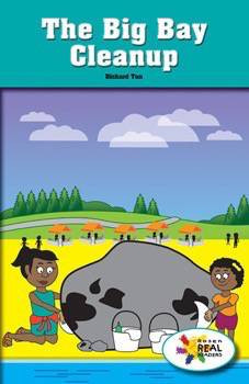 The Big Bay Cleanup by Richard Tan, 9781499498806