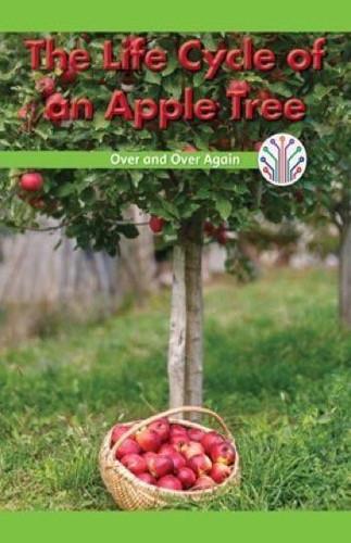 The Life Cycle of an Apple Tree (Over and Over Again) by Gillian Clifton, 9781538352434