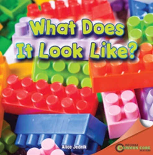 What Does It Look Like? by Alice Jednik, 9781448889747
