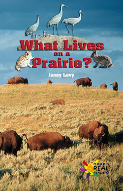 What Lives on a Prairie? - 9780823963904 by Janey Levy, 9780823963904