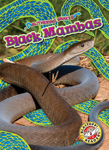 Black Mambas by Joanne Mattern, 9798886870367