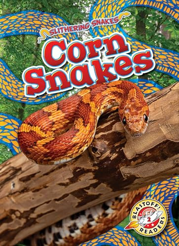 Corn Snakes by Joanne Mattern, 9798886870381