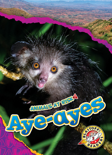 Aye-ayes by Rachel Grack, 9798886879742