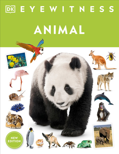 Eyewitness Animal by DK, 9780593843819