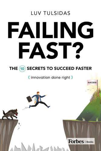 Failing Fast? (The Ten Secrets to Succeed Faster) by Luv Tulsidas, 9781955884907