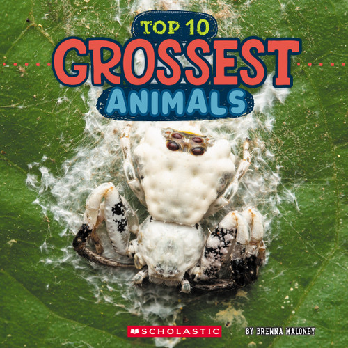 Grossest Animals (Wild World: Top 10) by Brenna Maloney, 9781546136026