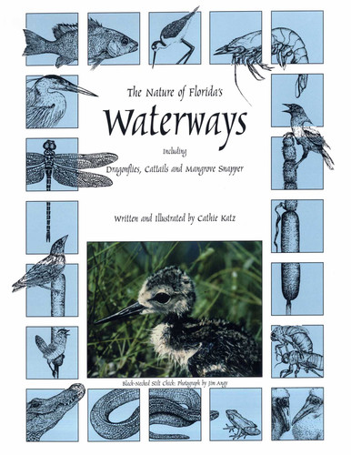 Nature of Florida's Waterways (Including Dragonflies, Cattails, and Mangrove Snapper) by Cathie Katz, 9780820012025