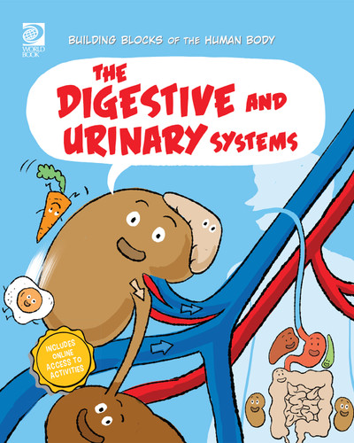 The Digestive and Urinary Systems by Joseph Midthun, Samuel Hiti, 9780716687894