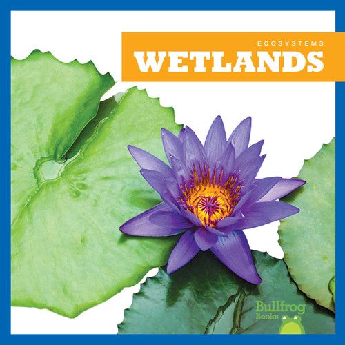 Wetlands - 9781620317365 by Nadia Higgins, 9781620317365