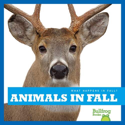 Animals in Fall by Mari Schuh, 9781620314722