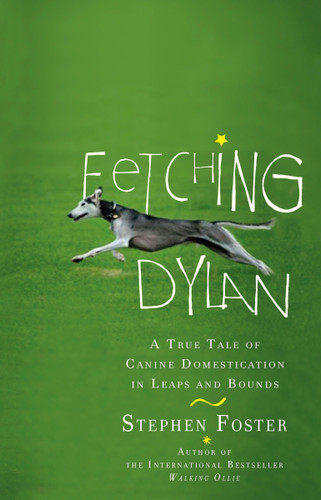 Fetching Dylan (A True Tale of Canine Domestication in Leaps and Bounds) by Stephen Foster, 9780399535116