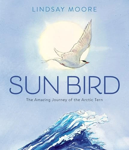 Sun Bird (The Amazing Journey of the Arctic Tern) by Lindsay Moore, Lindsay Moore, 9780063061002