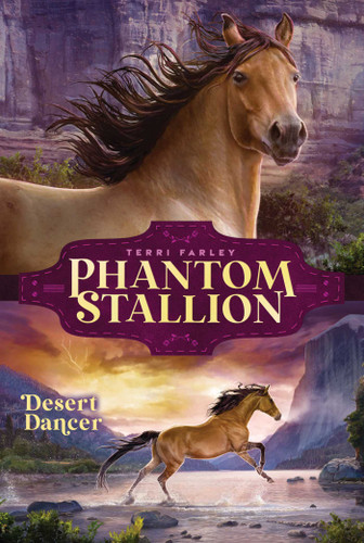 Desert Dancer by Terri Farley, 9781665916493