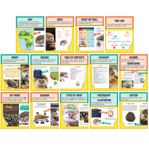Mini Posters: Nonfiction Text Features by Carson Dellosa Education, 9781483856377