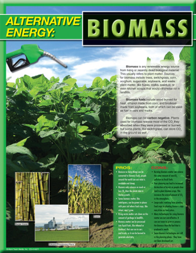 Alternative Energy Chart (Biomass) by Mark Twain Media, 9781580375474
