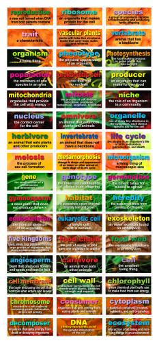 48 Life Science Testing Words Mini Bulletin Board Set by Mark Twain Media, 9781580376396