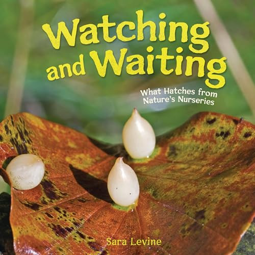 Watching and Waiting (What Hatches from Nature's Nurseries) by Sara Levine, 9798765648940