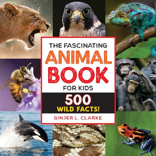 The Fascinating Animal Book for Kids (500 Wild Facts!) by Ginjer Clarke, 9781646111497 The Fascinating Animal Book for Kids (500 Wild Facts!) by Ginjer Clarke, 9781646111497