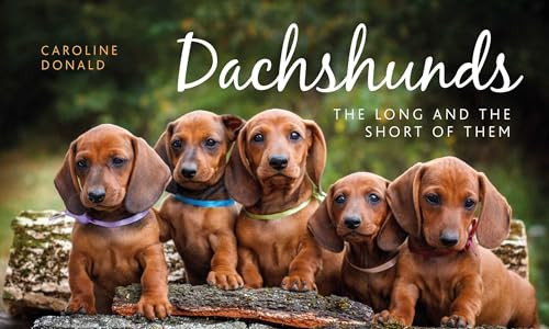 Dachshunds (The Long and the Short of Them) by Caroline Donald, 9781910258279