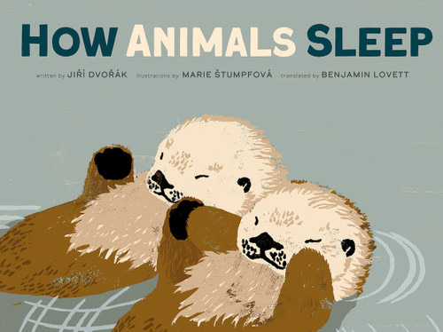 How Animals Sleep by Jiri Dvorak, Marie Stumpfova, Benjamin Lovett, 9781636550978