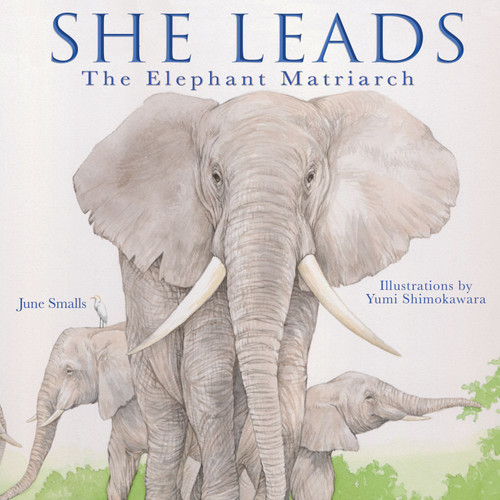 She Leads (The Elephant Matriarch) by June Smalls, Yumi Shimokawara, 9781641702324