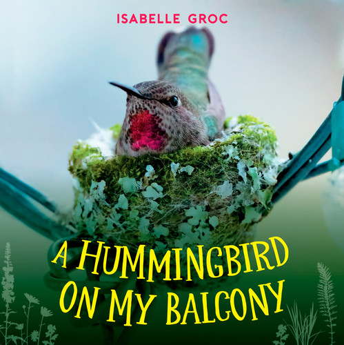 A Hummingbird on My Balcony by Isabelle Groc, 9781459831667