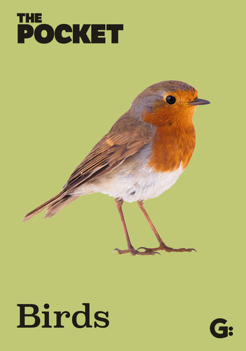 The Pocket Birds (Miniature Edition) by Gemini, 9781802473018