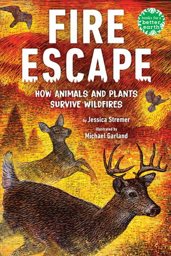 Fire Escape (How Animals and Plants Survive Wildfires) - 9780823460687 by Jessica Stremer, Michael Garland, 9780823460687
