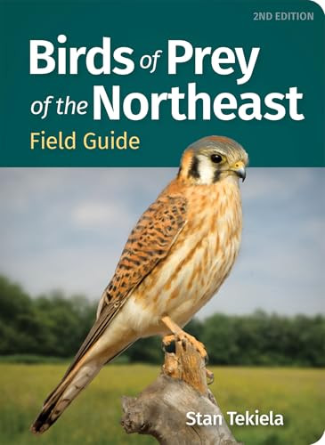 Birds of Prey of the Northeast Field Guide (Miniature Edition) - 9781647555573 by Stan Tekiela, 9781647555573