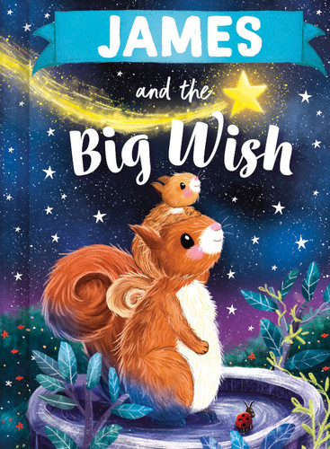 James and the Big Wish by Louise Martin, Laura Watkins, 9781464240478