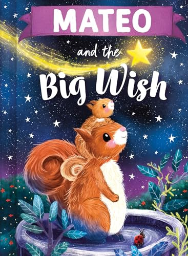 Mateo and the Big Wish by Louise Martin, Laura Watkins, 9781464240669