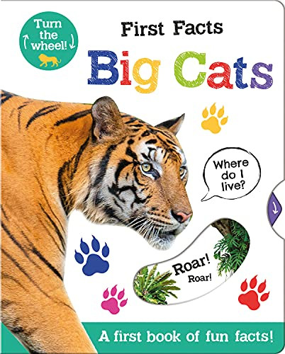 First Facts Big Cats by Georgie Taylor, Bethany Carr, 9781801052474