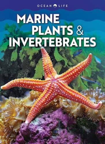Marine Plants & Invertebrates by Claudia Martin, 9798892328920