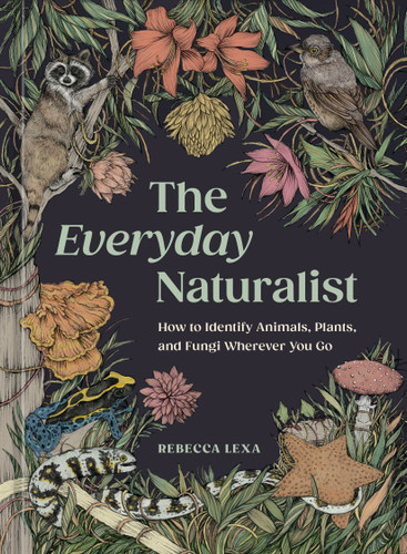 The Everyday Naturalist (How to Identify Animals, Plants, and Fungi Wherever You Go) by Rebecca Lexa, Ricardo Macía Lalinde, 9780593835975