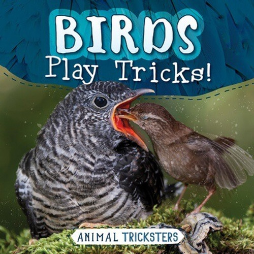 Birds Play Tricks! by Judy Thorpe, 9781538293454