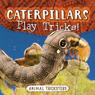 Caterpillars Play Tricks! - 9781538293492 by Jennifer Lombardo, 9781538293492