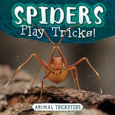 Spiders Play Tricks! - 9781538293614 by Meghan Green, 9781538293614