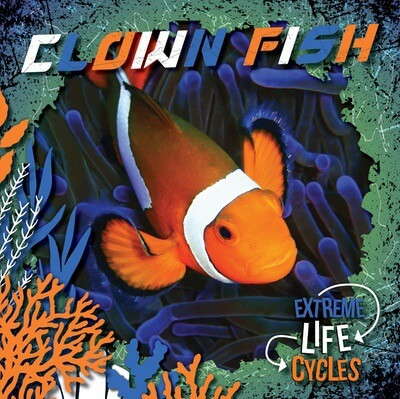 Clown Fish - 9781534547025 by E.C. Andrews, 9781534547025