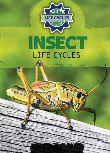 Insect Life Cycles - 9781978539808 by Theresa Emminizer, 9781978539808